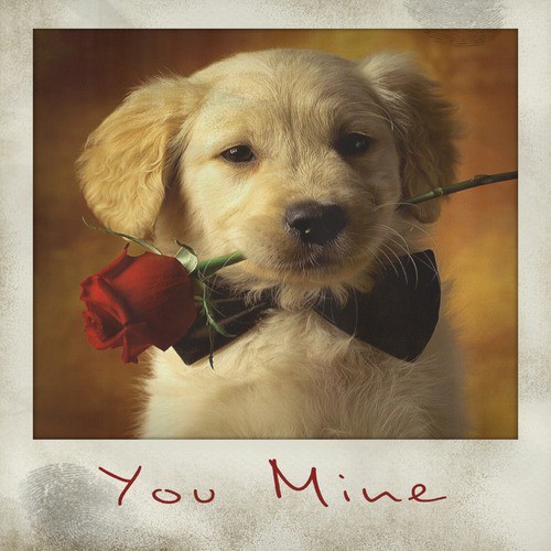 You Mine