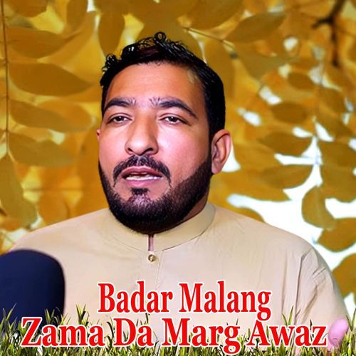 Zama Da Marg Awaz