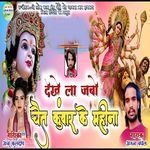 dekhe la jaabe maiya ke darbar