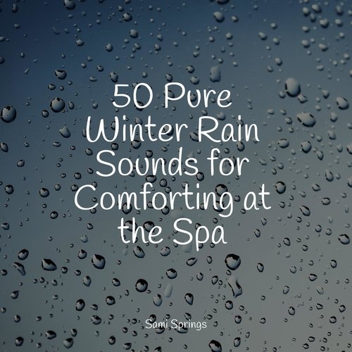 50 Pure Winter Rain Sounds for Comforting at the Spa