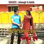 ঝিলিমিলি গরের তোয়ার মুখ