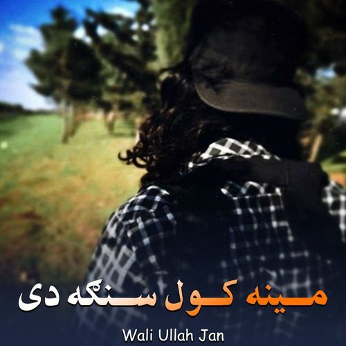 مینه کول سنګه دی