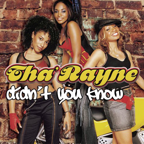 Didn't You Know (Radio Mix)