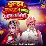 Dulha Kathu Ne Payab Aehan Kaniya