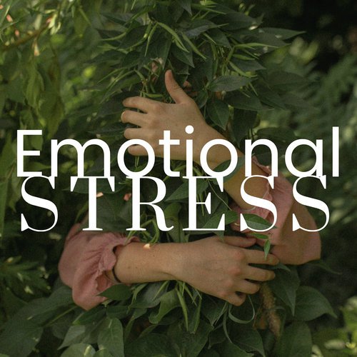 Emotional Stress: 2 Hours of Relaxing Music_poster_image