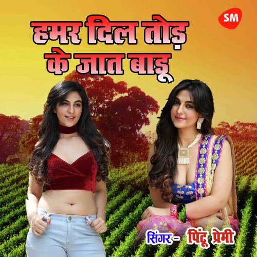 Hamar Dil Thod Ke Jaat Badu
