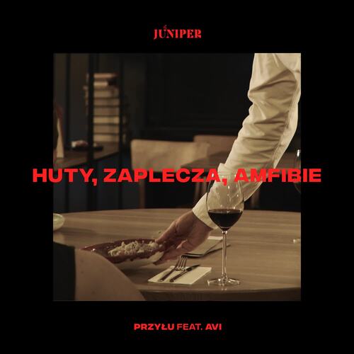 Huty, zaplecza, amfibie_poster_image