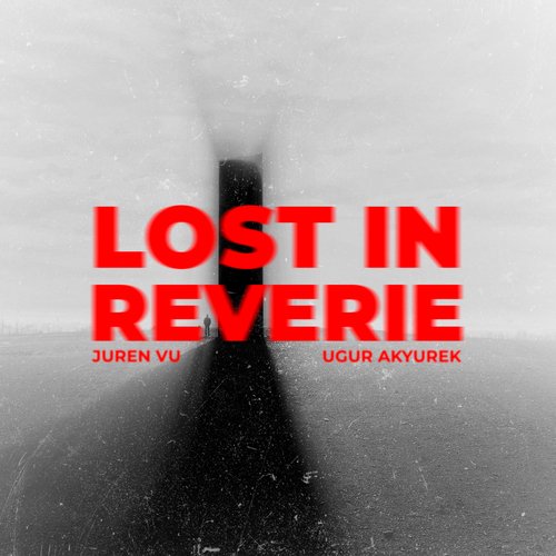 Lost in Reverie_poster_image