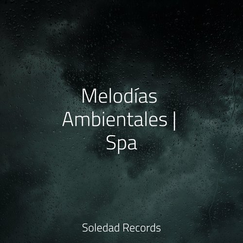 Canciones De Cuna cover art