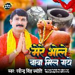 Mere Bhole Baba Mil Gaye