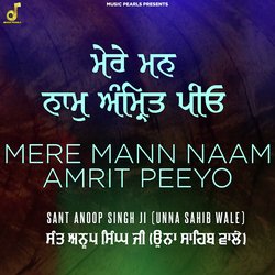 Mere Mann Naam Amrit Peeyo-PFEtYDVWf0I