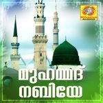 Thiru Thwaha artwork