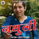 Nathuli DJ Nonstop (Pahadi)