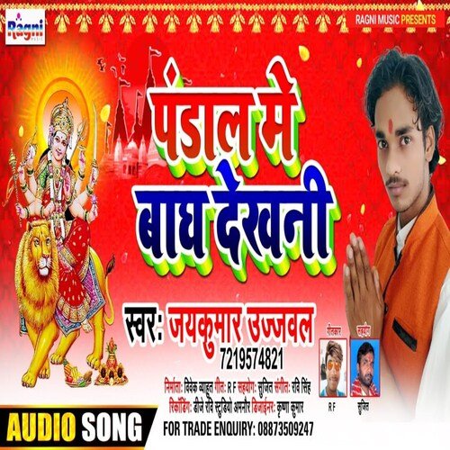 Pandal Me Baagh Dekhani