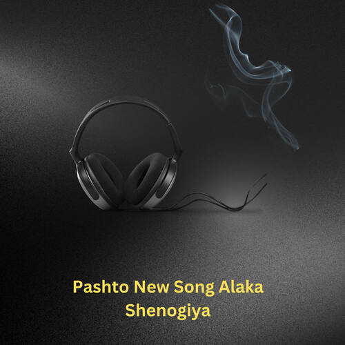 Pashto New Song Alaka Shenogiya