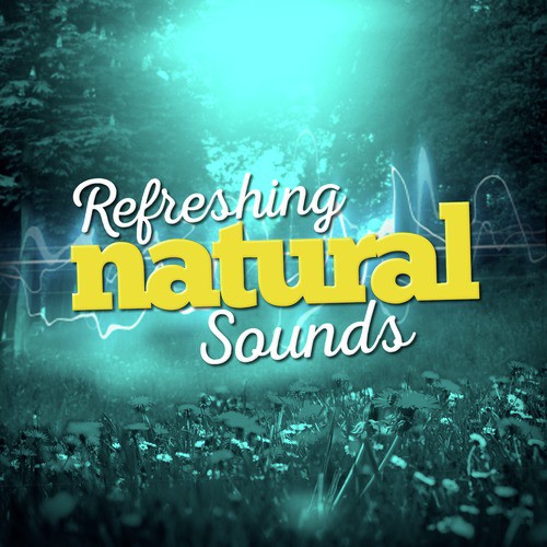 Refreshing Natural Sounds_poster_image