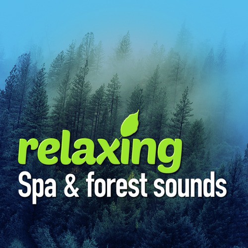 Relaxing Spa &amp; Forest Sounds
