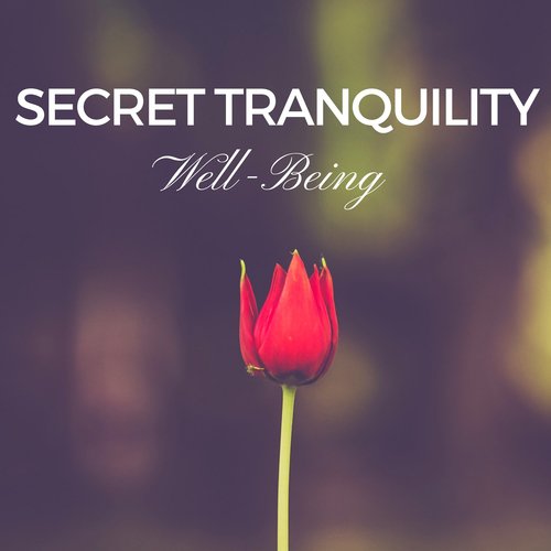 Secret Tranquility:  Well-Being, Nature Sounds, Relaxing Ambient Music, Ocean Waves and Rain