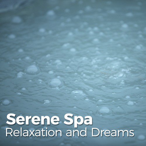 Serene Spa Relaxation and Dreams_poster_image