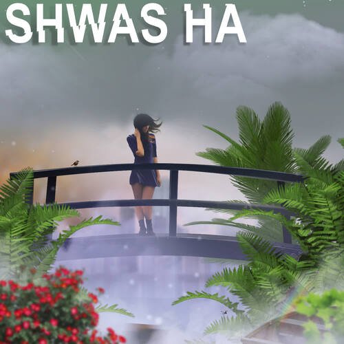 Shwas Ha