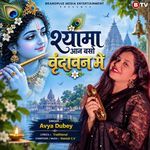 Shyama Aan Baso Vrindavan Mein