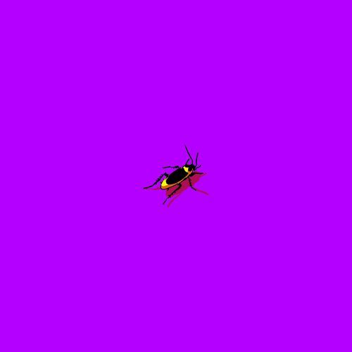 Smog cover art