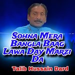 Sohna Mera Bangla Baag Lawa Day Marzi Da