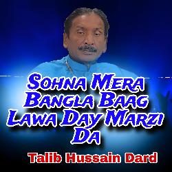 Sohna Mera Bangla Baag Lawa Day Marzi Da