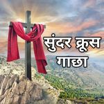 सुंदर क्रूस गाछा