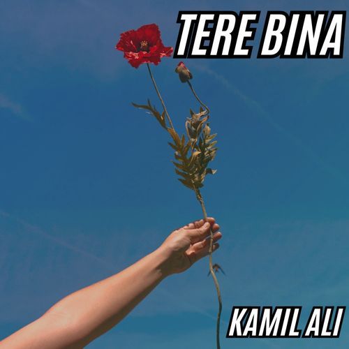 Tere Bina