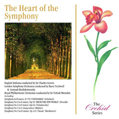 The Heart Of The Symphony