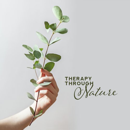 Sleep Sounds of Nature cover art