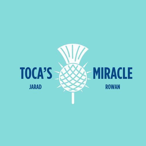 Toca's Miracle cover art