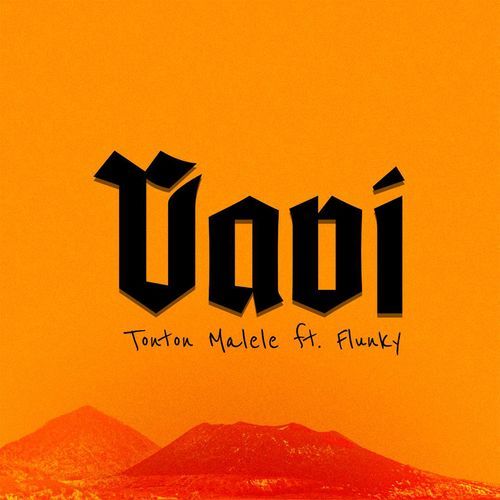 Vavi cover art