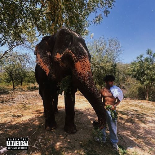 the elephat