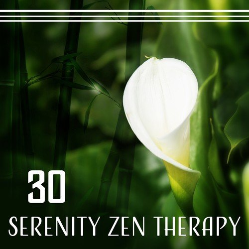 Zen for Inner Balance & Relaxation