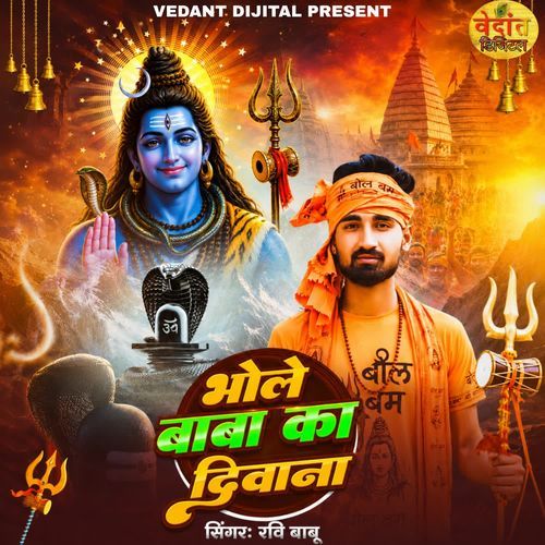 Bhole Baba Ka Diwana