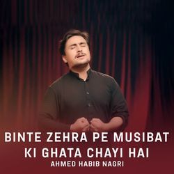 Binte Zehra Pe Musibat Ki Ghata Chayi Hai-BjxYATZbWns