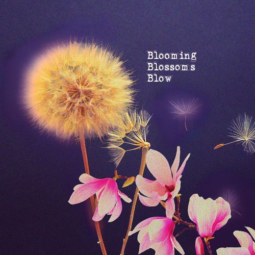 Blooming Blossoms Blow