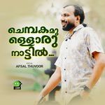 Chembakamulloru Nattil