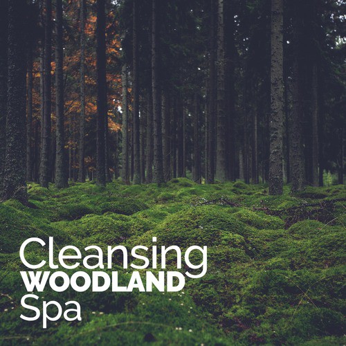 Cleansing Woodland Spa