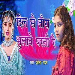 Dil Se Tora Bhulave parto Re
