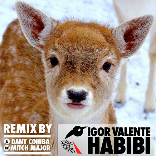 Habibi (Dany Cohiba Remix) cover art
