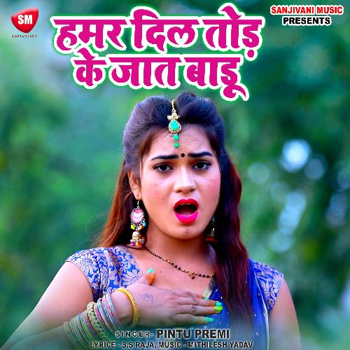 Hamar Dil Tod Ke Jat Badu (Bhojpuri)