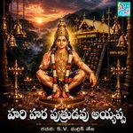 Hari Hara Putrudavu Ayyappa