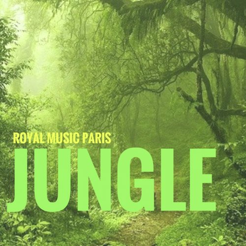 Jungle