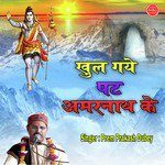 Khul Gaye Pat Amarnath Ke