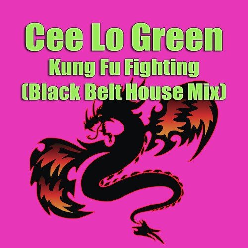 Kung Fu Fighting (Black Belt House Mix)_poster_image