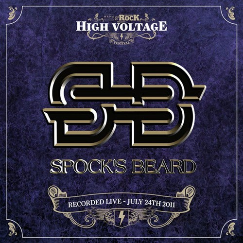 Live at High Voltage Festival 2011