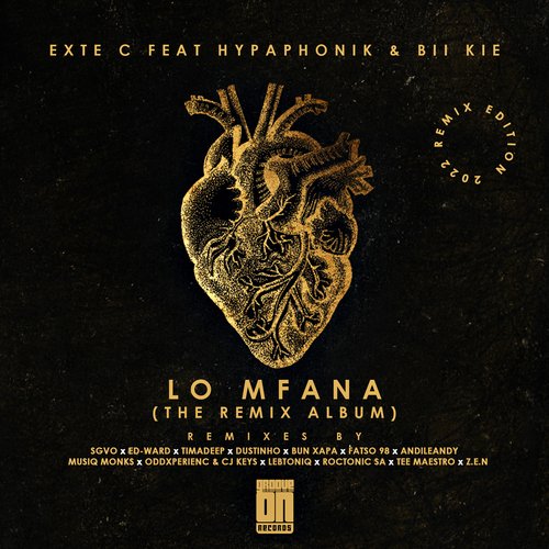 Lo Mfana (The Remix Album)_poster_image